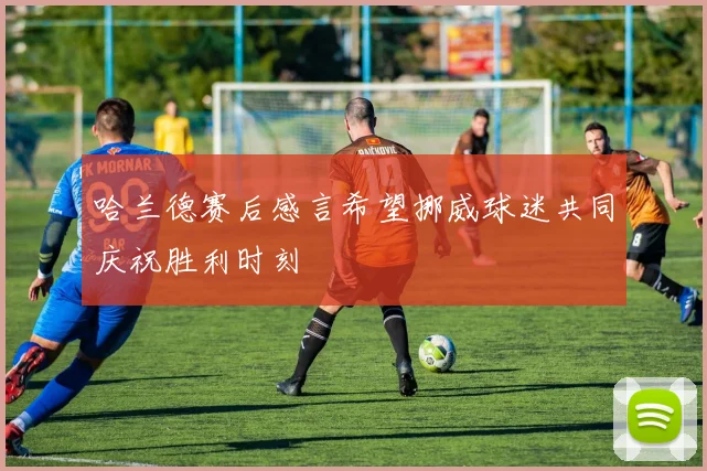 哈兰德赛后感言希望挪威球迷共同庆祝胜利时刻